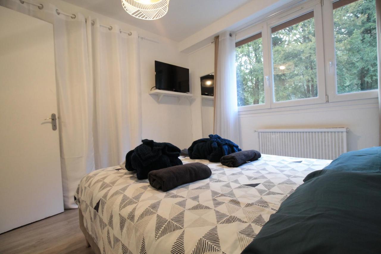 Derniere Reservations Avant Indisponibilite En Septembre Pour 12 Mois, Illimites Jacuzzi Spa Bain A Remous Interieur, Sauna Interieur, Parking Reserve, Vue Et Acces Parc, Prestations Uniques, 1Er Etage 코르베일에쏘네 외부 사진